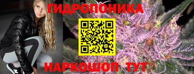 гидропоника Ярославль