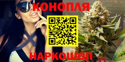 гидропоника Шебекино