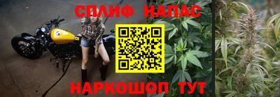 гидропоника Ярославль