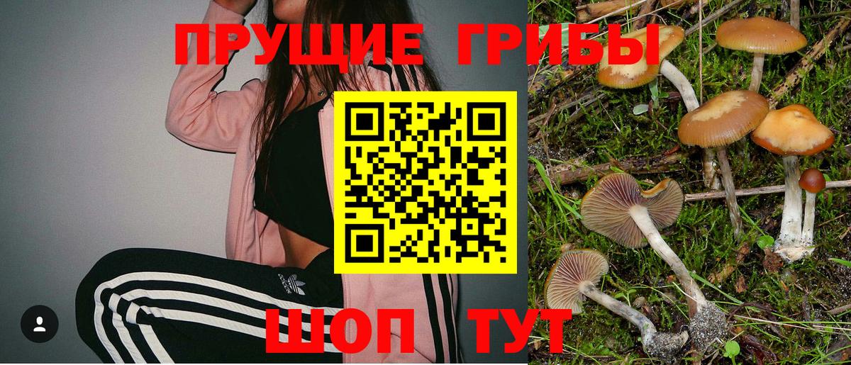 Борисоглебск  Галлюциногенные грибы Psilocybe  Вход с VPN 